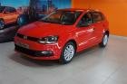 POLO VIVO